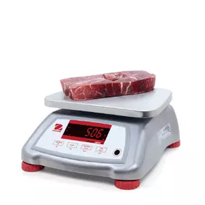Abattoir & Meat Processing Scales